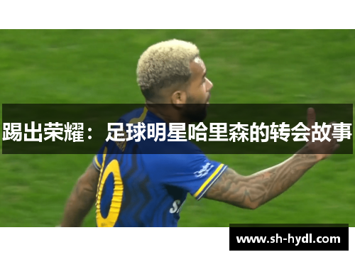 踢出荣耀：足球明星哈里森的转会故事